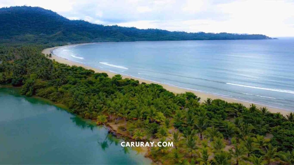 Caruray Caruray