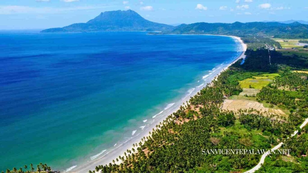 New Canipo New Canipo