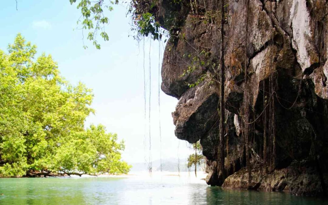 Unique Souvenirs to Buy in Palawan: A Guide to Local Treasures